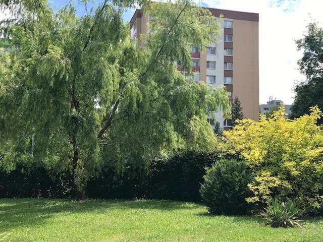 Amalia Apartment *